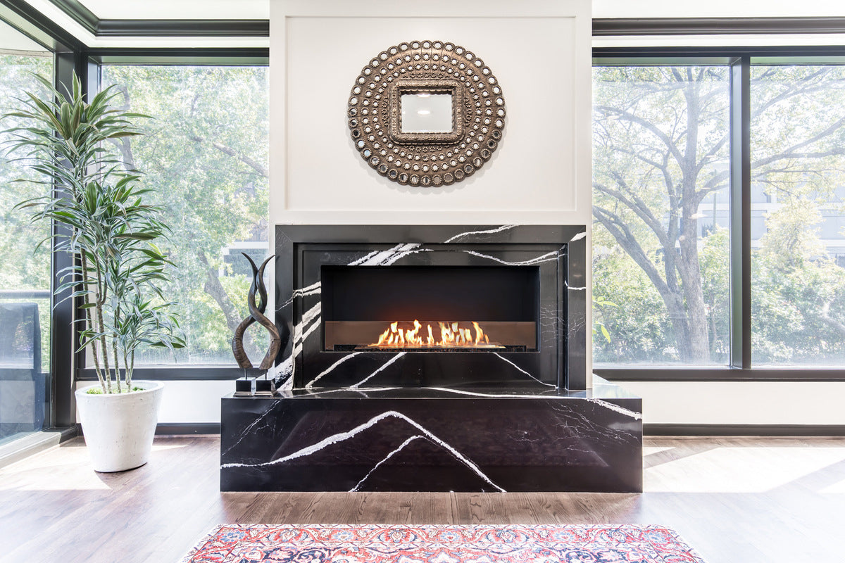 EcoSmart Fire Flex 50SS.BXR Single Sided Fireplace Insert