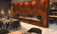 Thumbnail for Flex 78DB.BX2 Double Sided Fireplace Insert