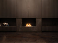 Thumbnail for Flex 50SS Single Sided Fireplace Insert