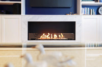Thumbnail for Flex 104SS.BX2 Single Sided Fireplace Insert