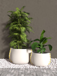 Thumbnail for Stitch 50 Concrete Planter